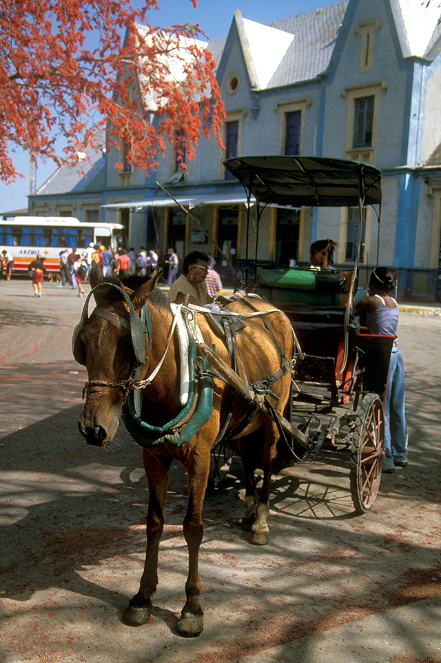cuba-horse-carriage-hungry-by-douglas-despres