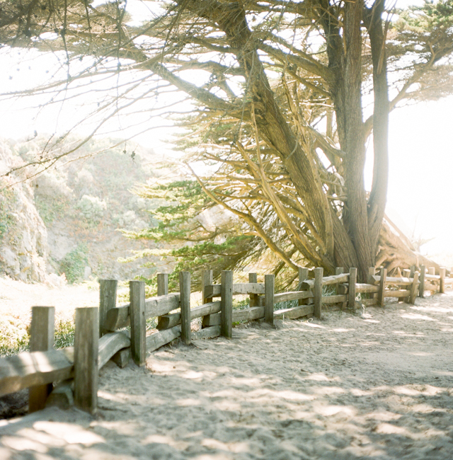pfeiffer-beach-elopement-photos-by-helios-images-18