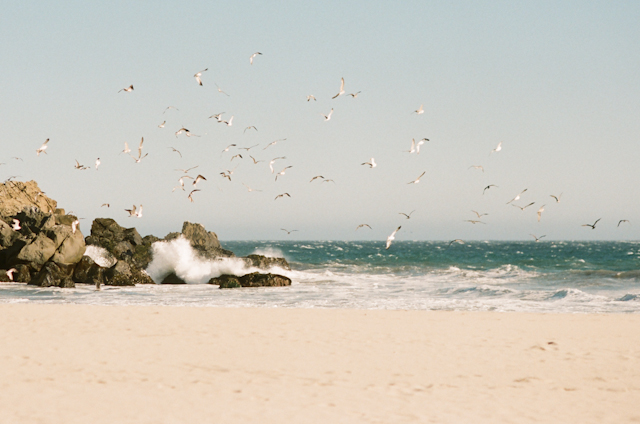 pfeiffer-beach-elopement-photos-by-helios-images-25