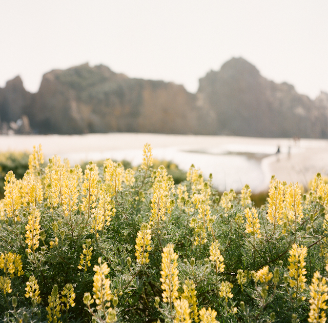 pfeiffer-beach-elopement-photos-by-helios-images-75