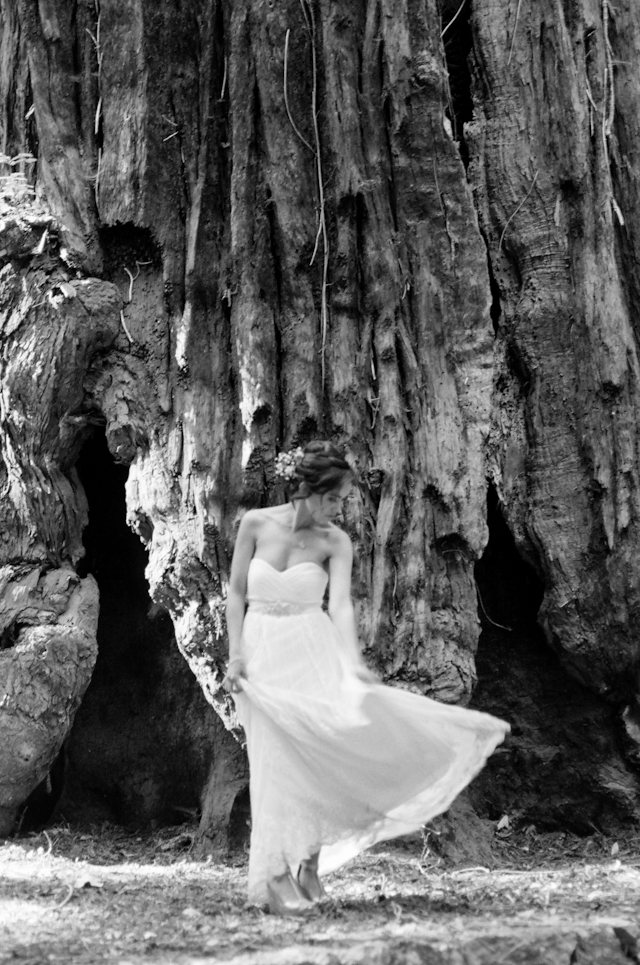 wedding-mcway-falls-glen-oaks-big-sur-by-helios-images-103