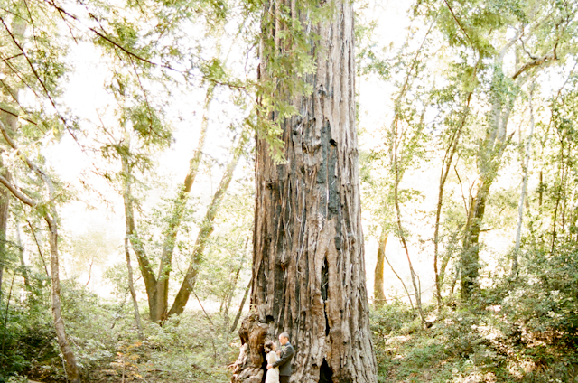 wedding-mcway-falls-glen-oaks-big-sur-by-helios-images-107