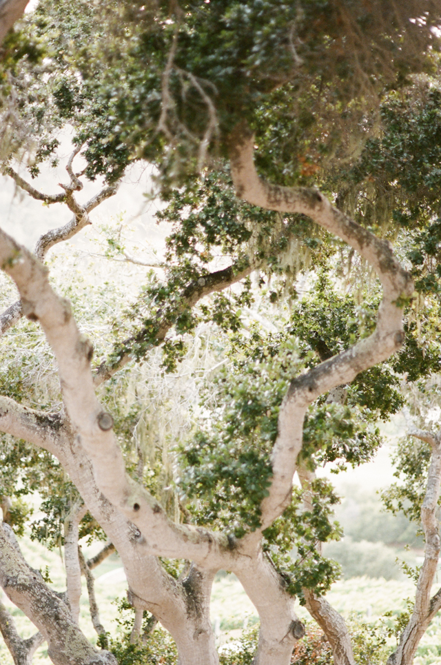 carmel-valley-ranch-wedding-by-helios-images-10